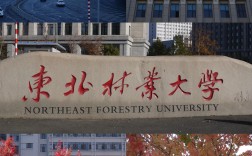 东北林业大学认可度